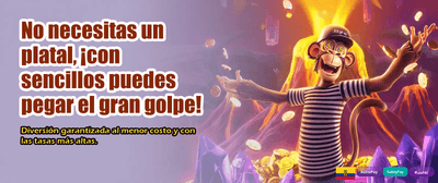 Contacto directo con soporte